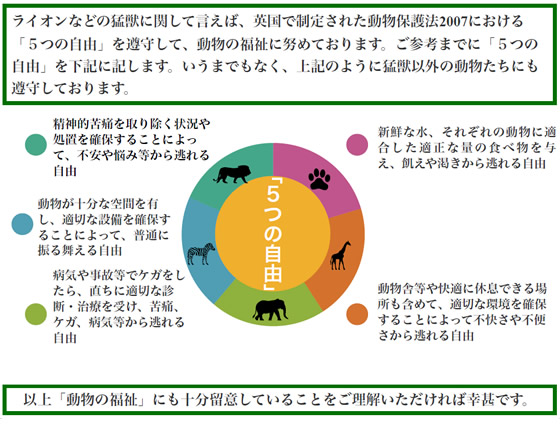 動物愛護法に関する弊社木下サーカスの方針