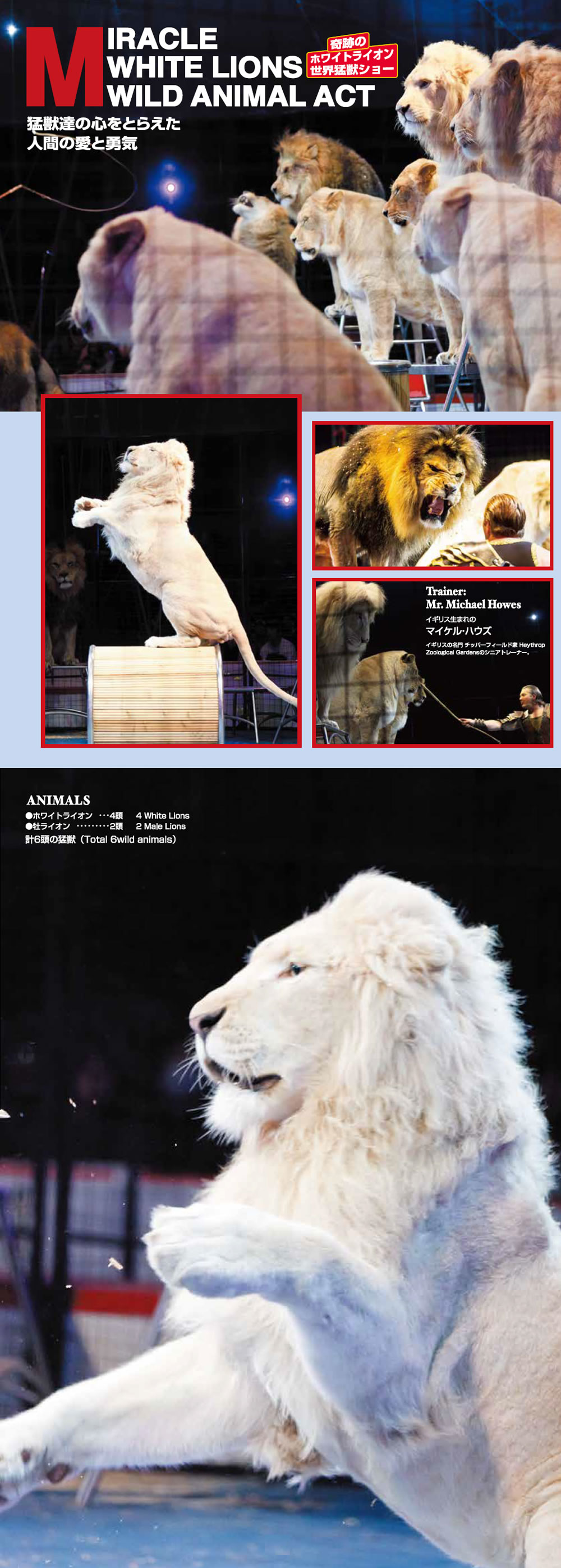 奇跡のホワイトライオン世界猛獣ショー